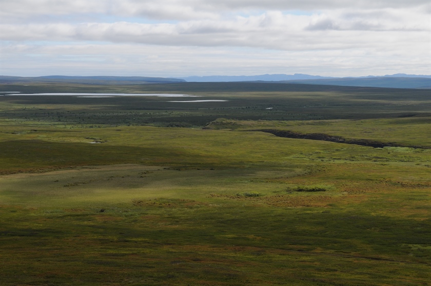 Norsk arktisk tundra trues av klimaendringer